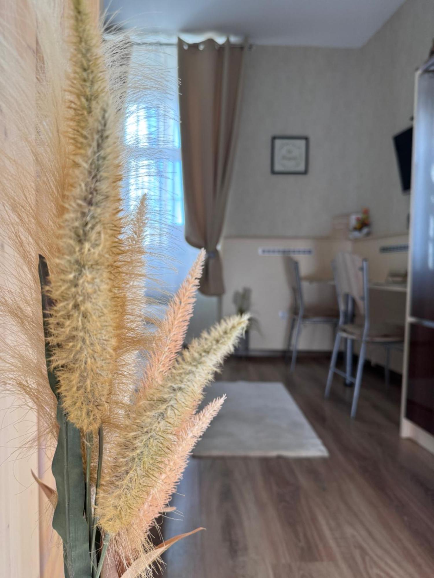 Apartamento Safit-Mandala Mosonmagyaróvár Exterior foto